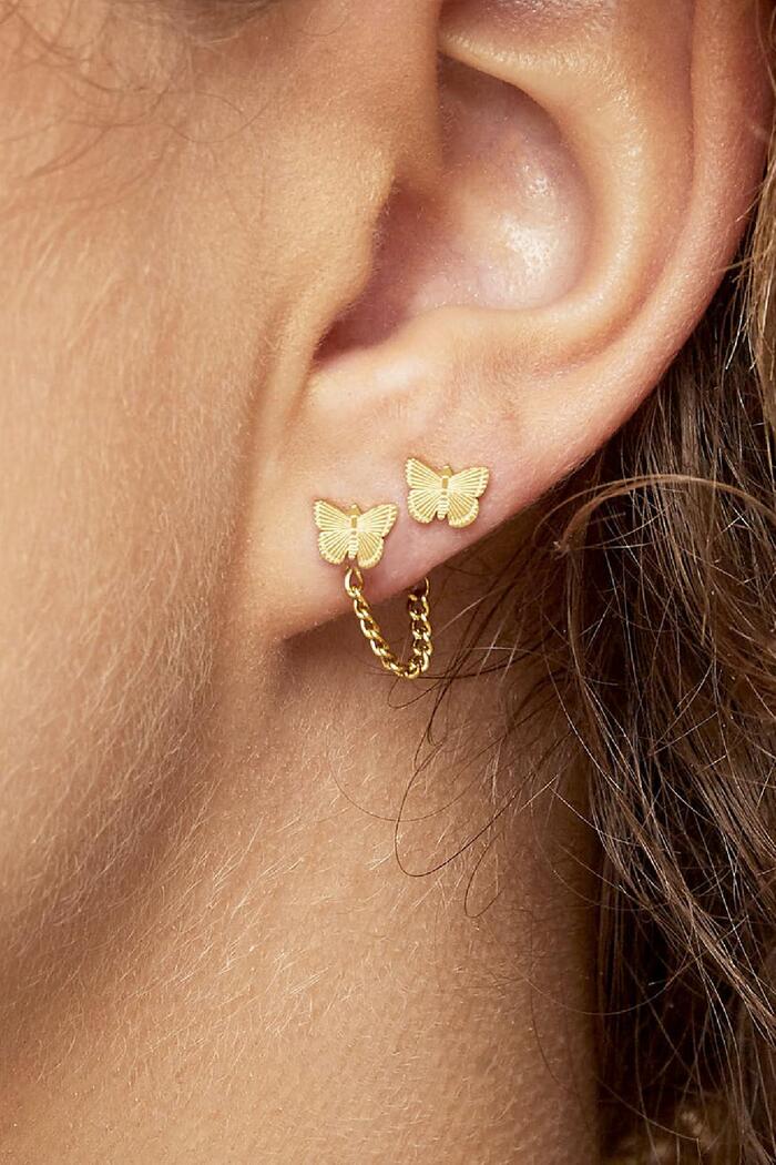 Earrings Butterfly Gold Stainless Steel Picture2